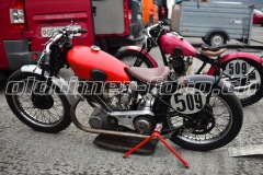 FAM_EF_Mollis_2023_0327