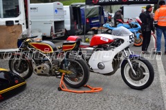 FAM_EF_Mollis_2023_0333