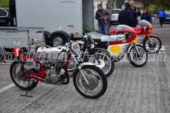 FAM_EF_Mollis_2023_0335