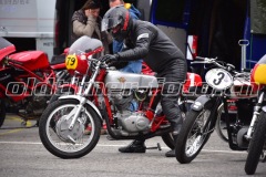 FAM_EF_Mollis_2023_0336