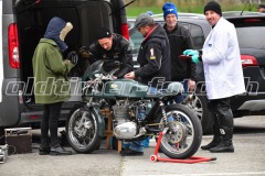 FAM_EF_Mollis_2023_0524