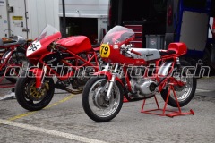 FAM_EF_Mollis_2023_0525