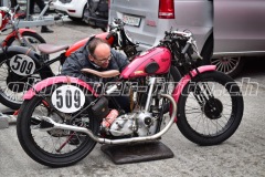 FAM_EF_Mollis_2023_0528