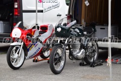 FAM_EF_Mollis_2023_0535