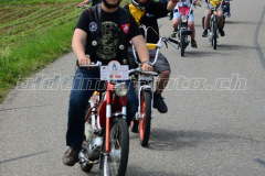 Land_Brand_2017_2093