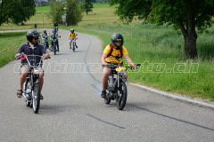 Land_Brand_2017_2105