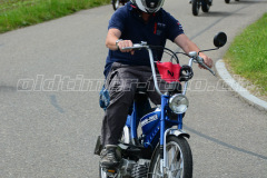 Land_Brand_2017_2133