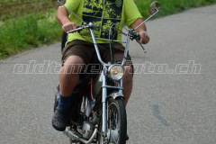 Land_Brand_2017_2137