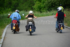 Land_Brand_2017_2143