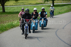 Land_Brand_2017_2147