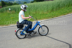 Land_Brand_2017_2151