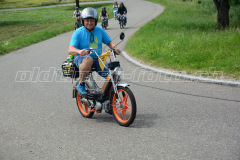 Land_Brand_2017_2152