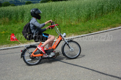 Land_Brand_2017_2172