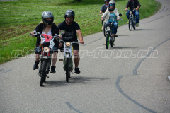 Land_Brand_2017_2182