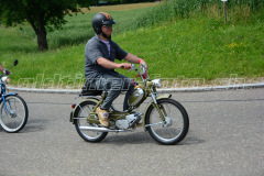 Land_Brand_2017_2187