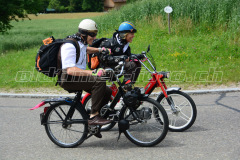 Land_Brand_2017_2193