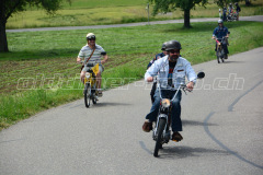 Land_Brand_2017_2214