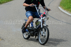 Land_Brand_2017_2225