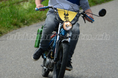 Land_Brand_2017_2229