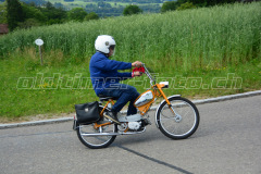 Land_Brand_2017_2237