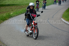 Land_Brand_2017_2242