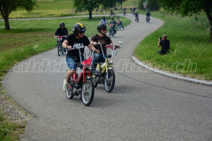 Land_Brand_2017_2245