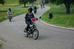 Land_Brand_2017_2247