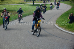 Land_Brand_2017_2250