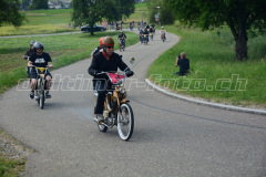 Land_Brand_2017_2253