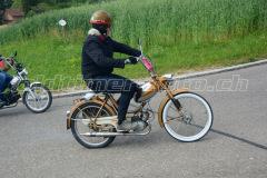 Land_Brand_2017_2254