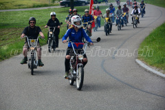 Land_Brand_2017_2259