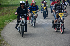 Land_Brand_2017_2260