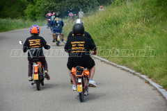 Land_Brand_2017_2268