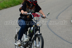 Land_Brand_2017_2270