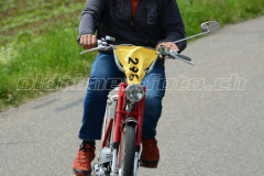 Land_Brand_2017_2287