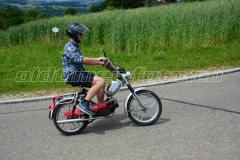 Land_Brand_2017_2306