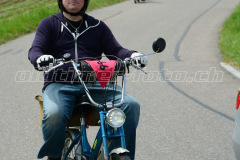 Land_Brand_2017_2311