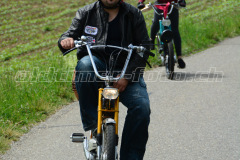 Land_Brand_2017_2313