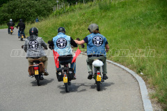 Land_Brand_2017_2320