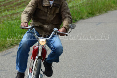 Land_Brand_2017_2333