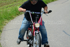 Land_Brand_2017_2343