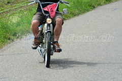 Land_Brand_2017_2346