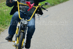 Land_Brand_2017_2348