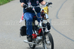 Land_Brand_2017_2355