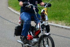 Land_Brand_2017_2356