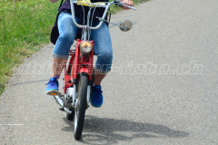 Land_Brand_2017_2357