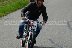 Land_Brand_2017_2382