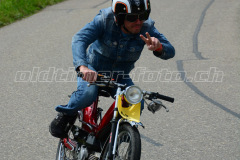 Land_Brand_2017_2385