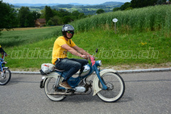 Land_Brand_2017_2392