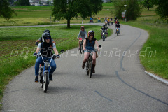 Land_Brand_2017_2398